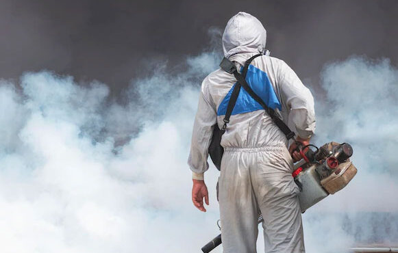 dengue-prevention dengue-prevention