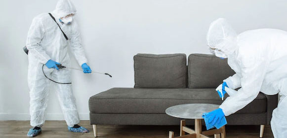 pest-service1 pest-service1