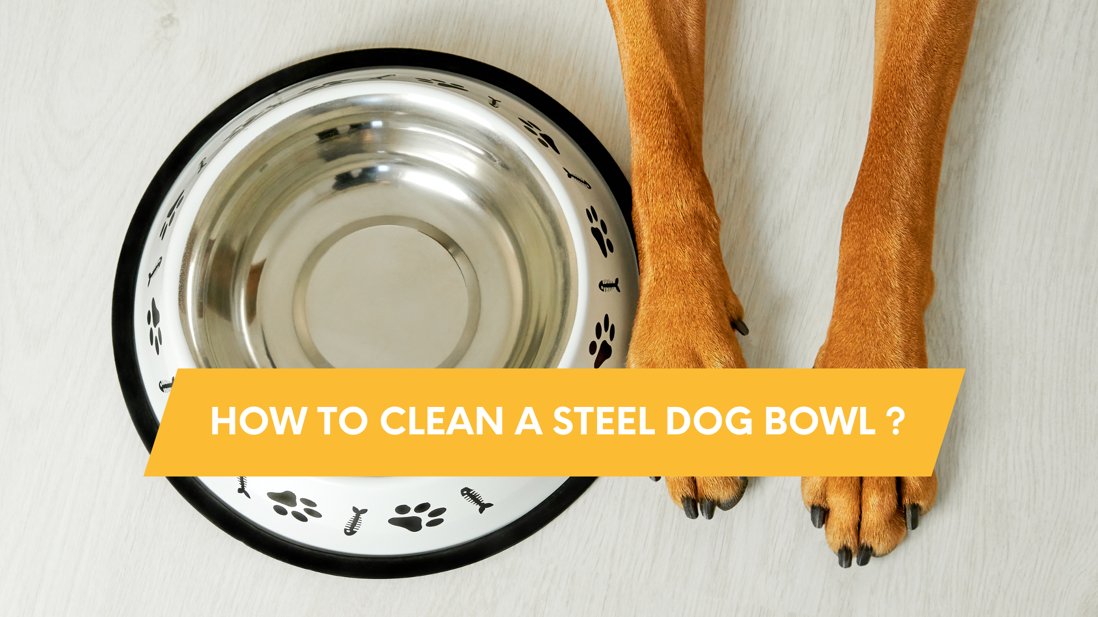 How to clean a steel dog bowl