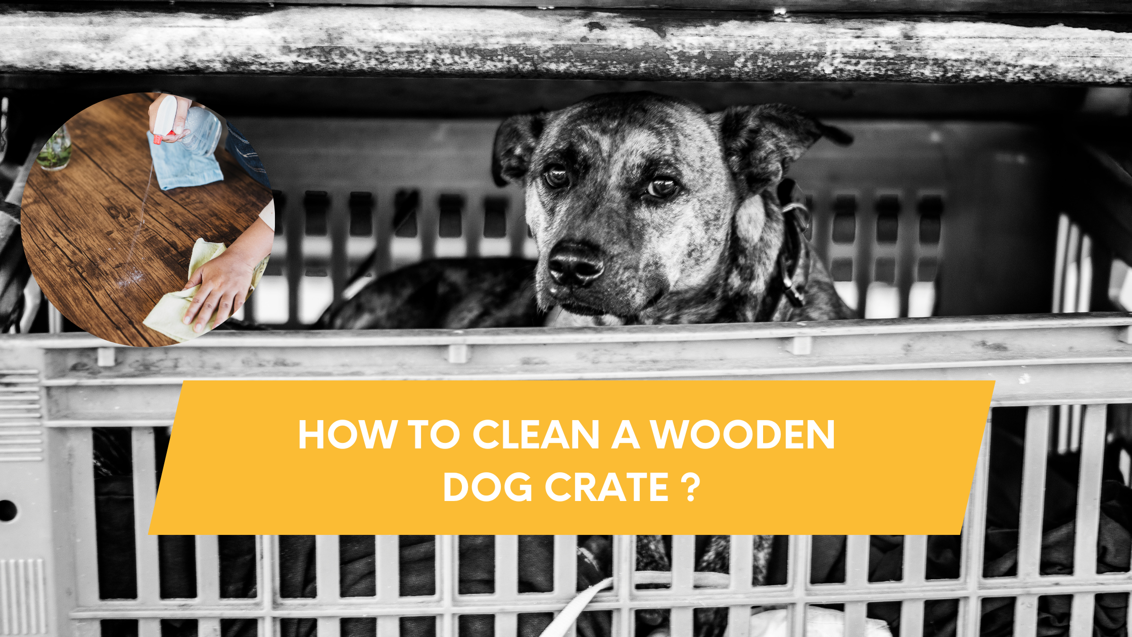 How to clean a wooden dog crate