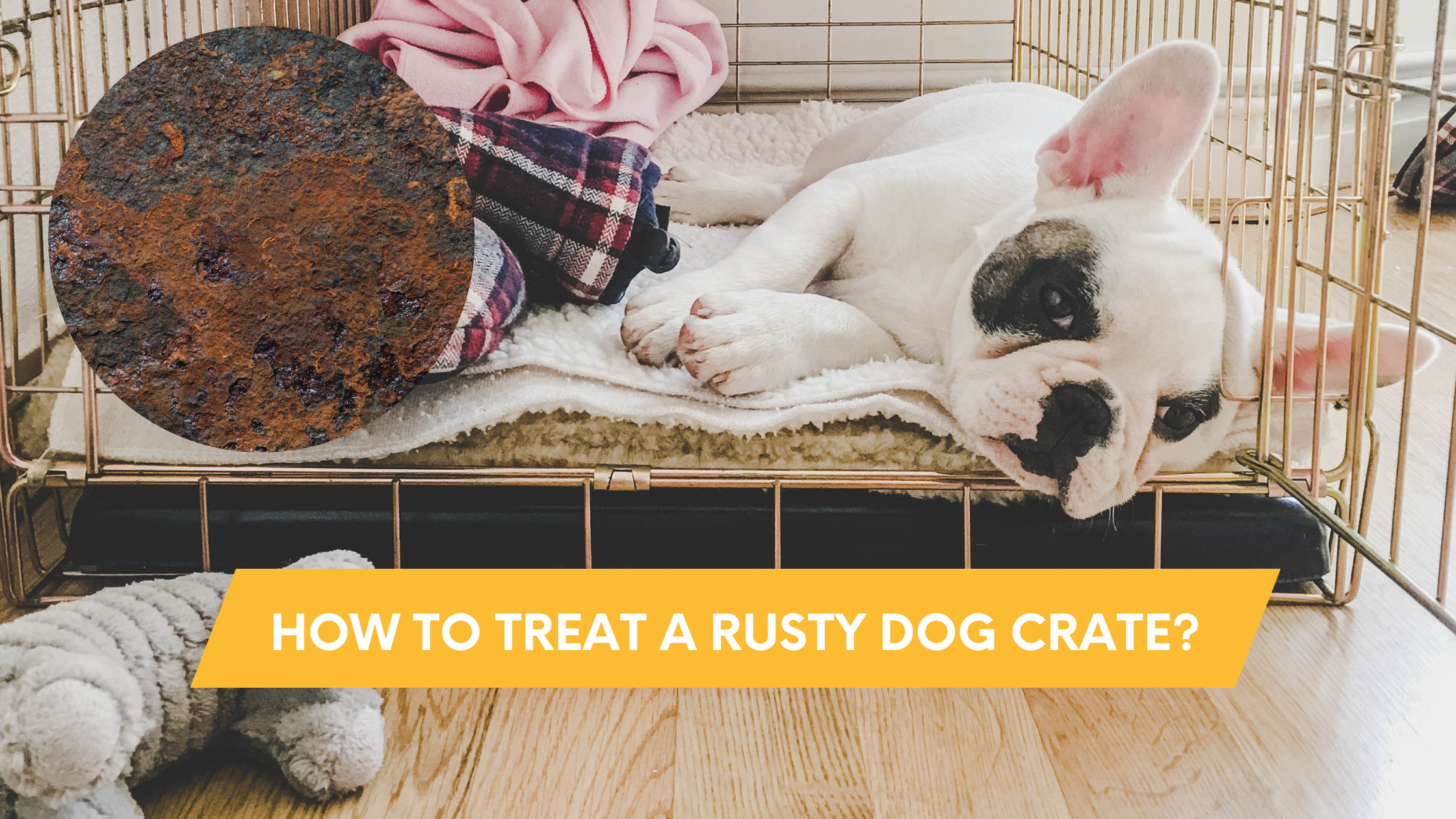 How to treat a rusty dog crate